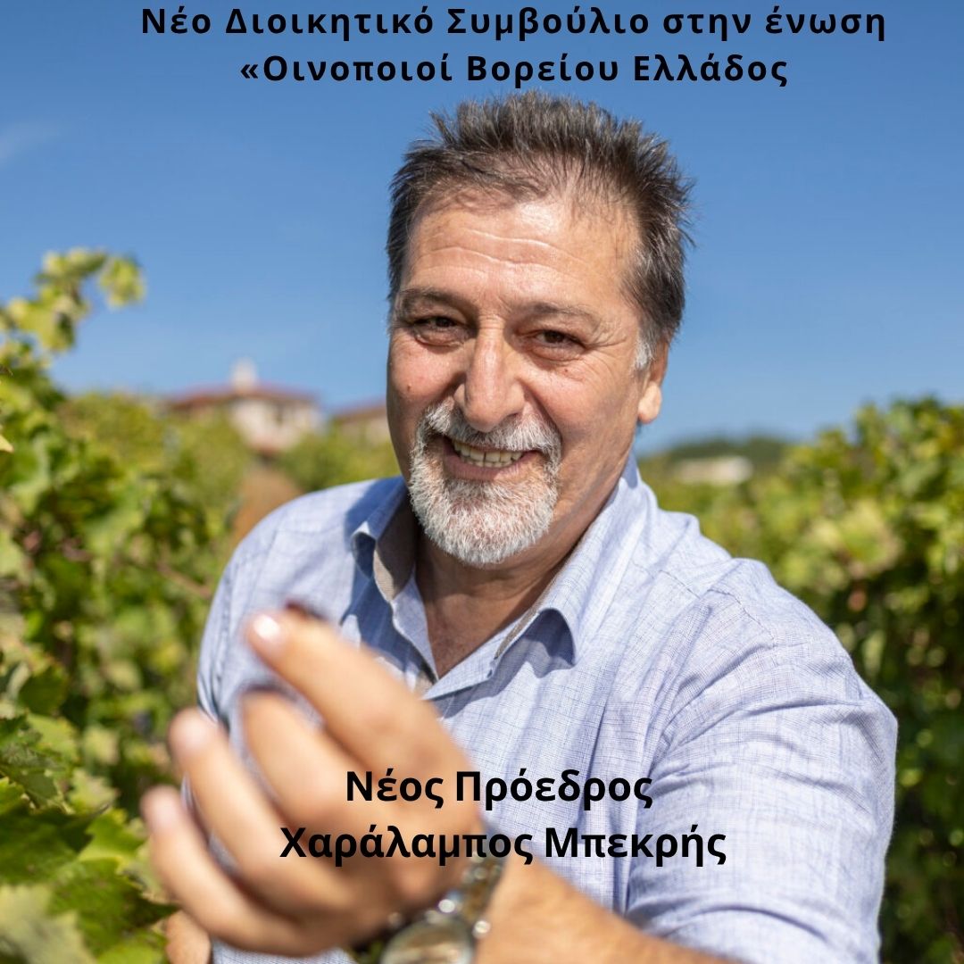Νέο Διοικητικό Συμβούλιο στην ένωση «Οινοποιοί Βορείου Ελλάδος».