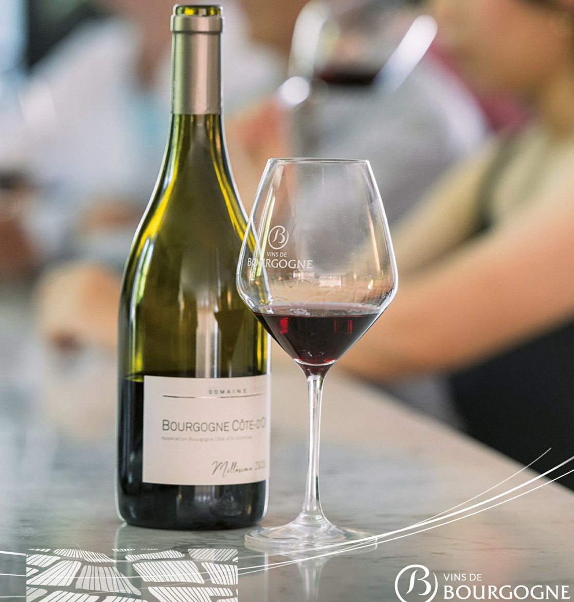 Tourism: Let's go wine-tasting in Bourgogne!