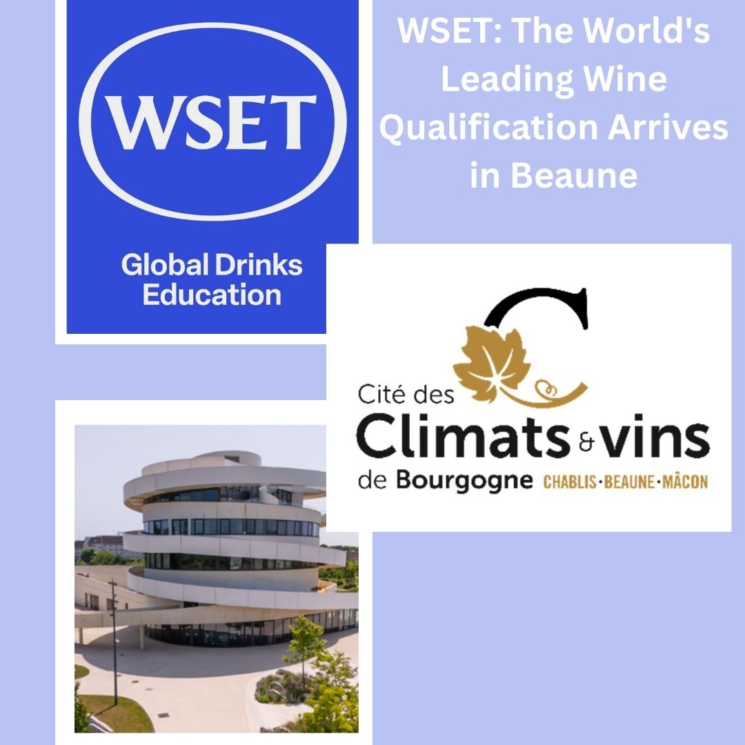 WSET: The World's Leading Wine Qualification Arrives in Beaune.