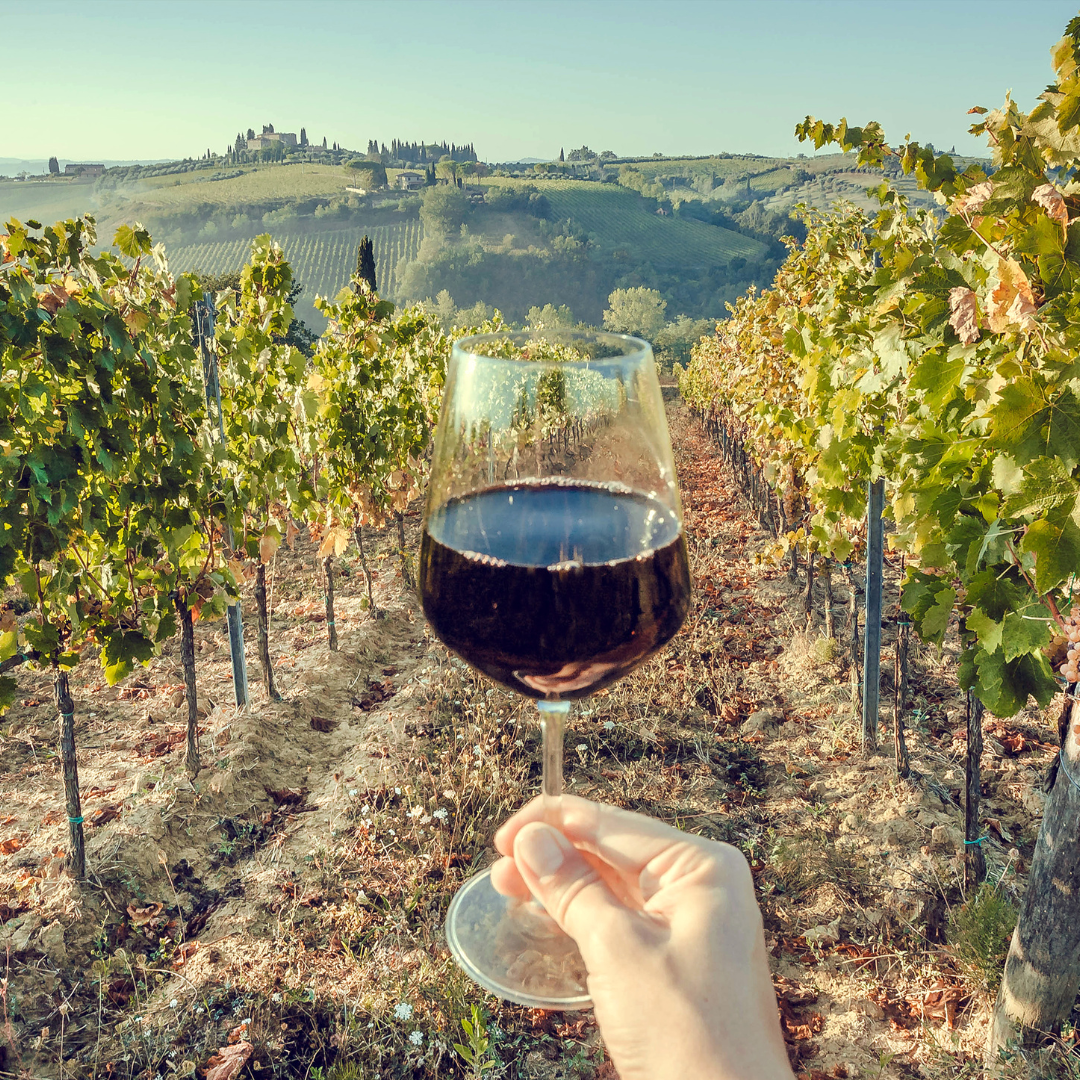 Montalcino, the redemption of the younger sibling: the USA focuses on the red and expands the vineyards