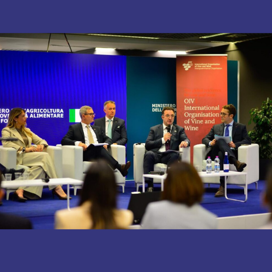 Γεωργία: Ανάδειξη της οινικής κληρονομιάς στο Συνέδριο του OIV.