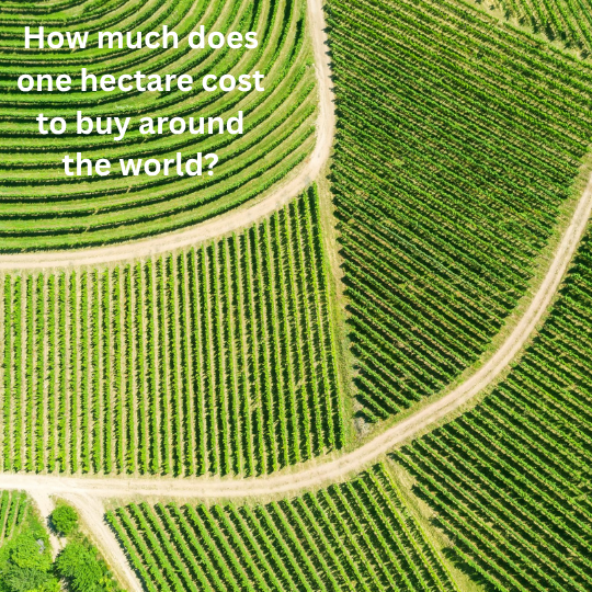 How much does one hectare cost to buy around the world?