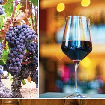 3d Harvest Festival 2023  in Naousa, divine wine destination