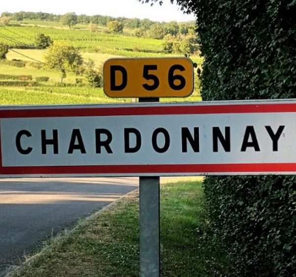 The 10th Chardonnay Day took place in Chardonnay, where else?