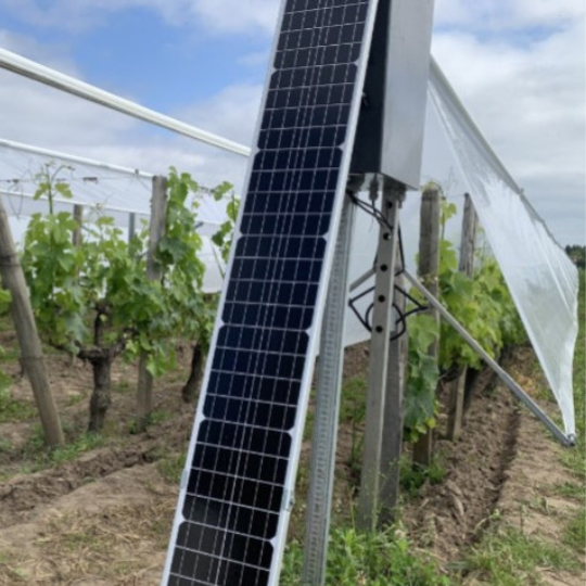 Viti-Tunnels due to be rolled out in AOC vineyards in France