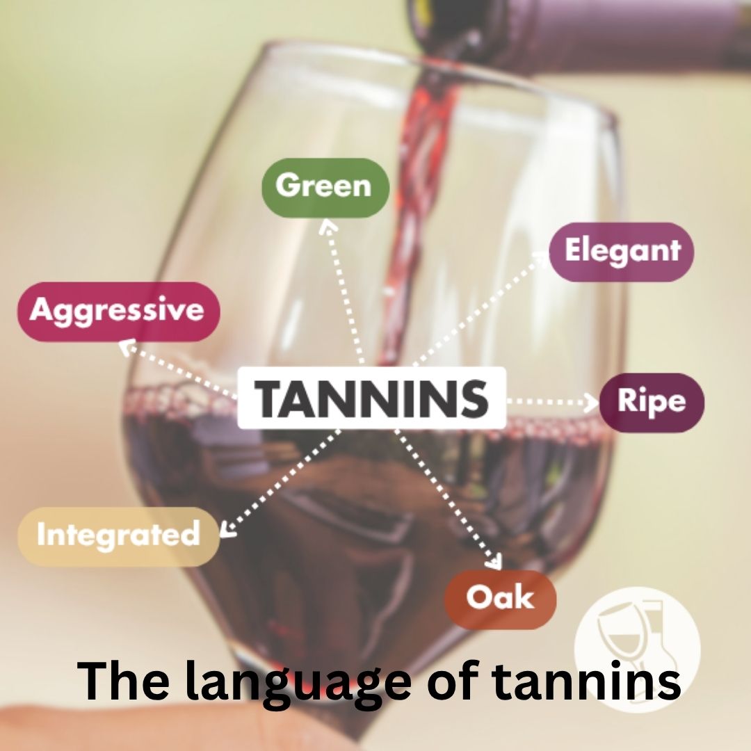 The language of tannins: how winemakers understand and use tannin terminology.