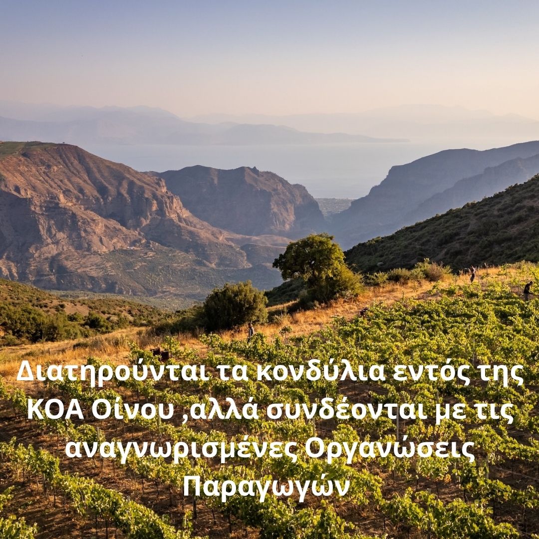 Διατηρούνται τα κονδύλια εντός της ΚΟΑ Οίνου ,αλλά συνδέονται με τις αναγνωρισμένες Οργανώσεις Παραγωγών . Θύελλα αντιδράσεων  σε ολόκληρη την ευρωπαϊκή αλυσίδα που ταράζουν τις Βρυξέλλες.