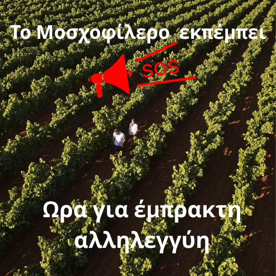 Το Μοσχοφίλερο «πάγωσε» στη Μαντινεία: Χάθηκε το 90% της σοδειάς – Ώρα για έμπρακτη αλληλεγγύη!